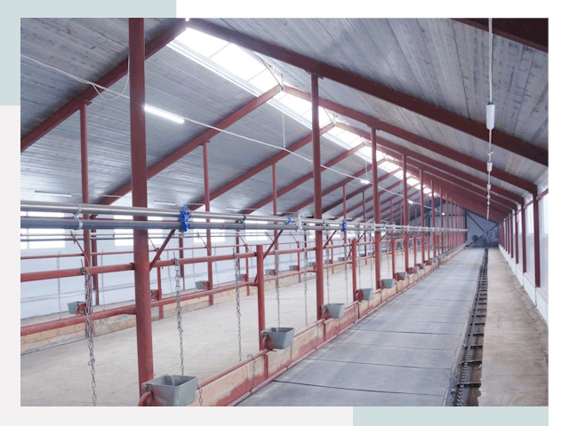 Строительство коровников в Югорске от 613 руб.