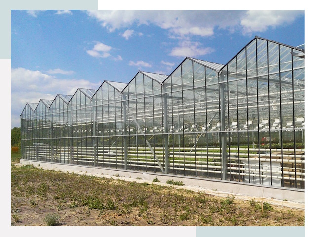 Строительство теплиц в Югорск от 613 руб. за м²